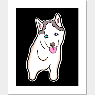 Adorable Three-Legged Tripod Husky Puppy Named Mochi Posters and Art